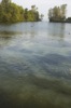 local picture