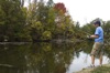 local picture