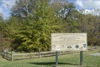 local picture