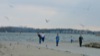 local picture