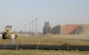 local picture