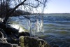 local picture