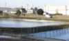 local picture