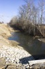local picture