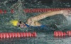 local picture