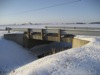 local picture