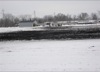 local picture