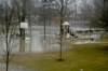 local picture