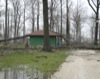 local picture