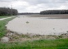 local picture