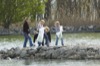 local picture