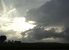 local picture