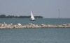 local picture