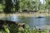local picture