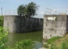 local picture