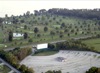 local picture