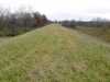 local picture
