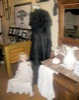 local picture
