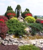 local picture