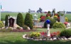 local picture