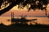 local picture