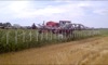 local picture