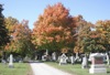 local picture