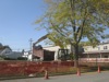 local picture