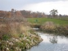 local picture