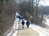 local picture