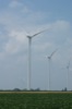 local picture