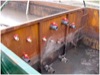 local picture