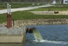 local picture