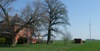 local picture