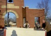 local picture
