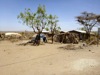 local picture