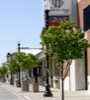 local picture