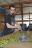 local picture