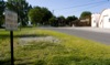 local picture