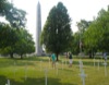 local picture