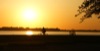 local picture