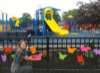 local picture