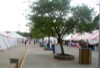 local picture