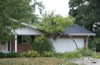 local picture