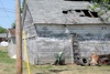 local picture