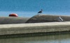 local picture