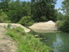 local picture