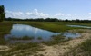 local picture