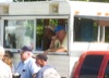 local picture