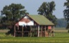 local picture
